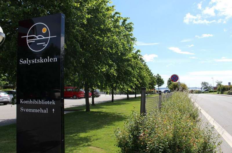 Træerne udenfor Sølystskolen