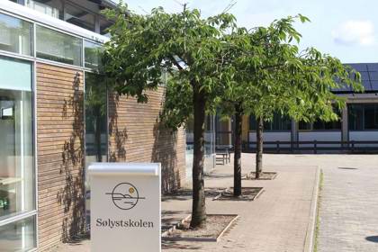 Træer i skolegården på Sølystskolen