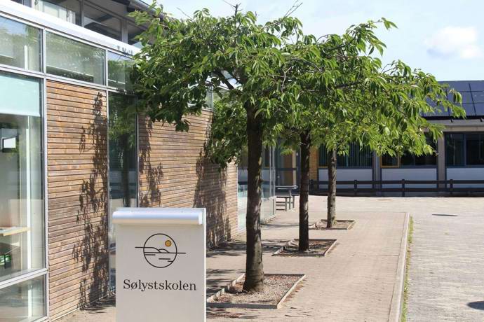 Træer i skolegården på Sølystskolen